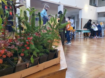 Skrzydlaci przyjaciele czyli ptasia edukacja dla najmłodszych, 