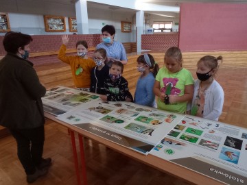 Skrzydlaci przyjaciele czyli ptasia edukacja dla najmłodszych, 