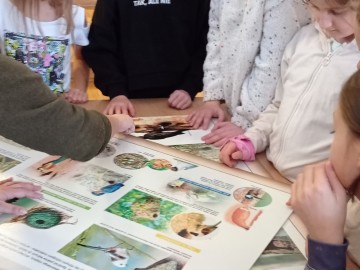 Skrzydlaci przyjaciele czyli ptasia edukacja dla najmłodszych, 