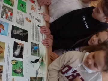 Skrzydlaci przyjaciele czyli ptasia edukacja dla najmłodszych, 