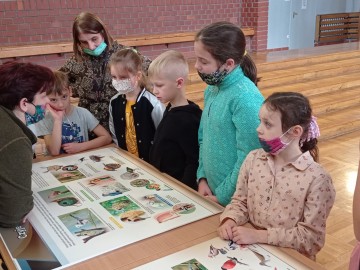 Skrzydlaci przyjaciele czyli ptasia edukacja dla najmłodszych, 