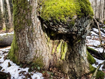 W oczekiwaniu na wiosnę rezerwat Czarna Rózga 2026, 