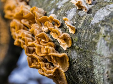 W oczekiwaniu na wiosnę rezerwat Czarna Rózga 2026, 