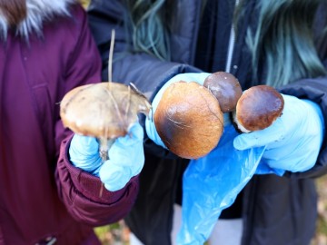 Akcja #SprzątamyDlaPolski X edycja w Przedborzu, 