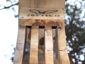 Karlik w skrzynce szczelinowej, <p>M. Ignaczak</p>