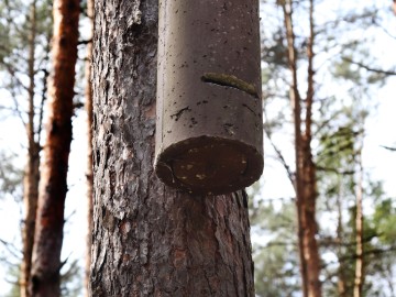 Inny typ kryjówki trocino-betonowej, <p>M. Ignaczak</p>